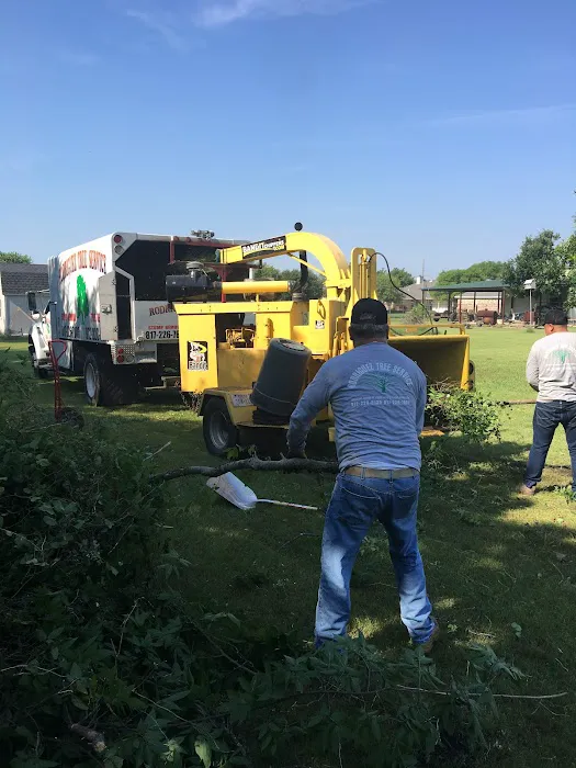 Rodriguez Water Damage Services Picture 7