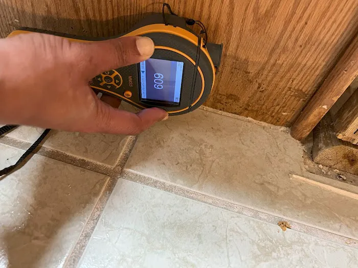 All Dry Services of Metro South Picture 8