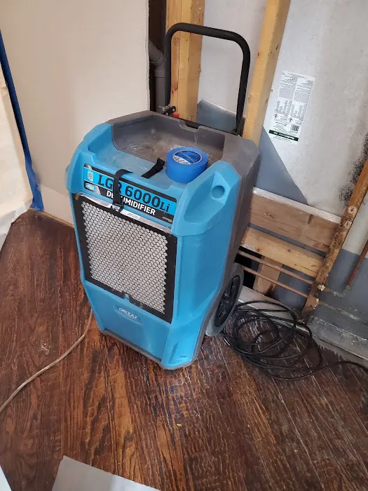 Rewind Restoration Picture 3