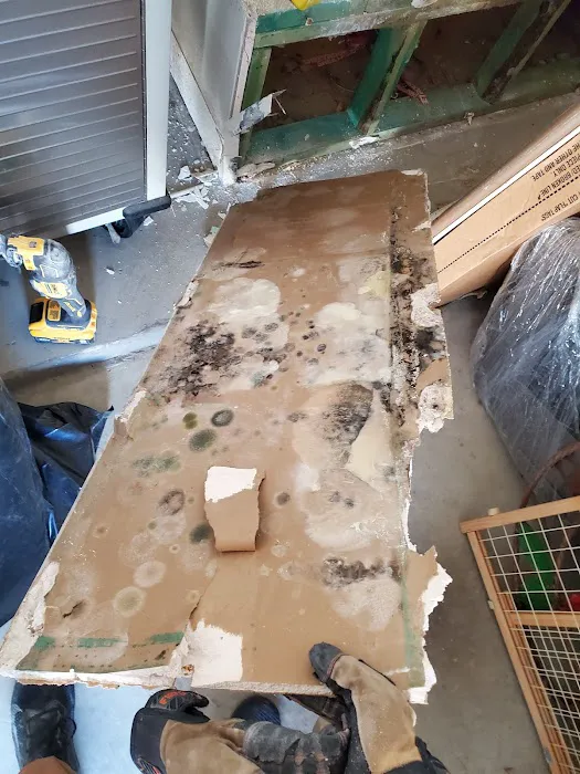 Rewind Restoration Picture 5