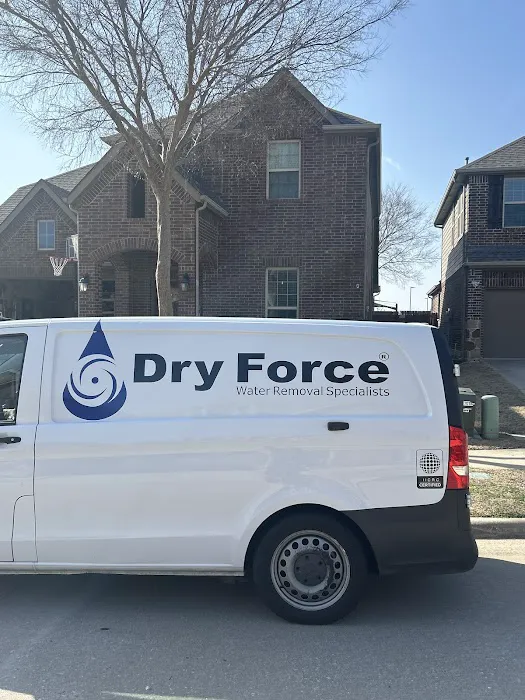 Dry Force Water Removal Specialists Picture 1