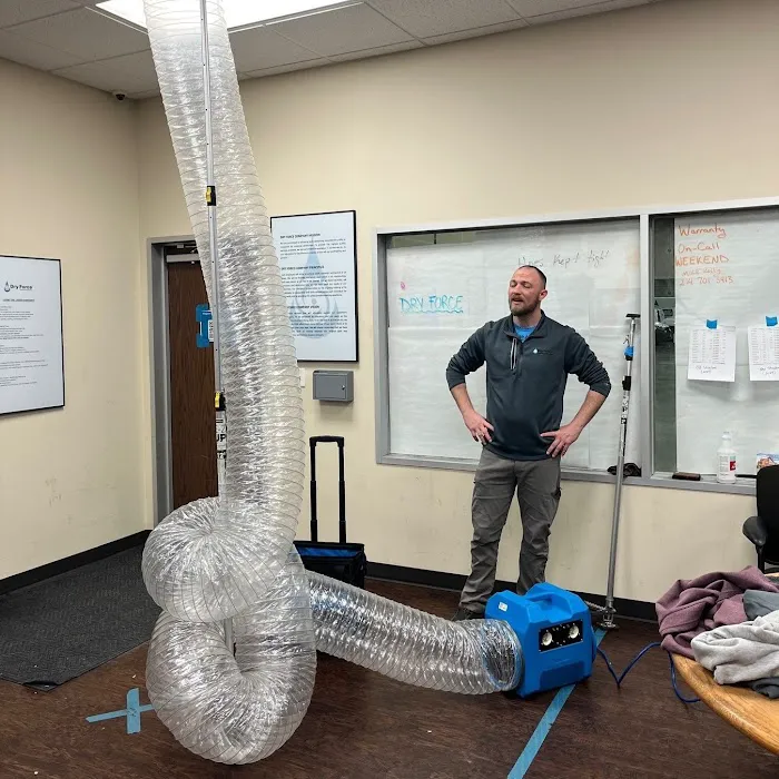 Dry Force Water Removal Specialists Picture 6