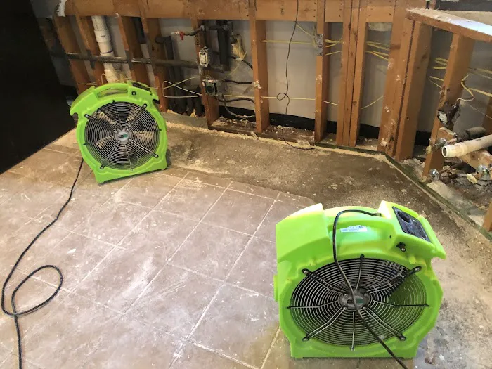 Xcelerated Picture 2