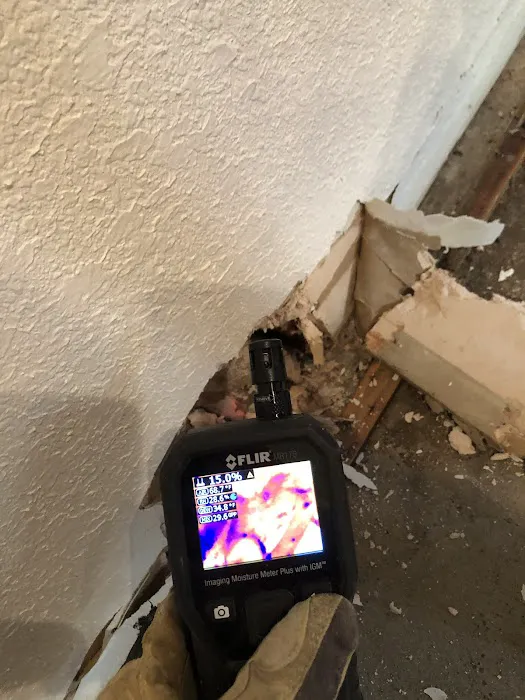 Xcelerated Picture 1