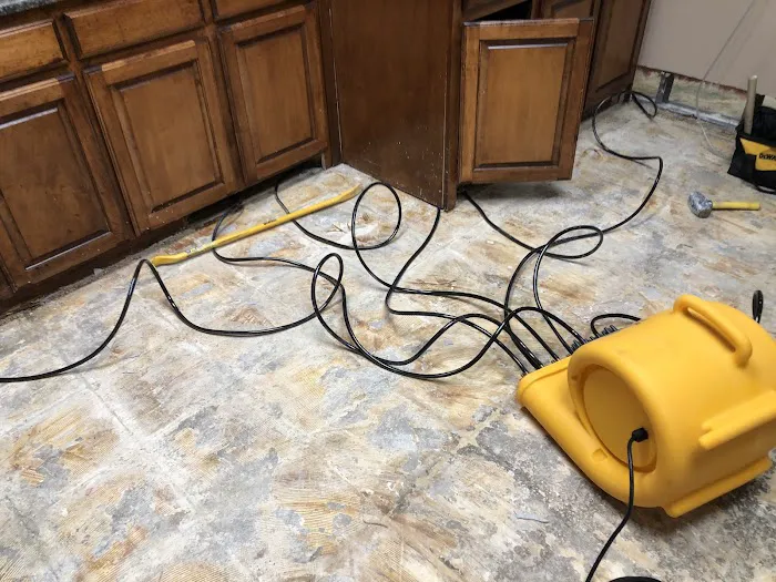 Xcelerated Picture 8