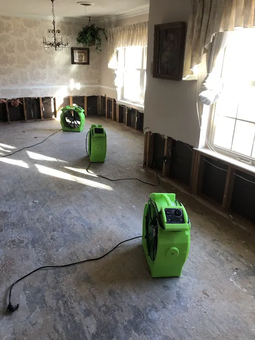 Xcelerated Picture 7