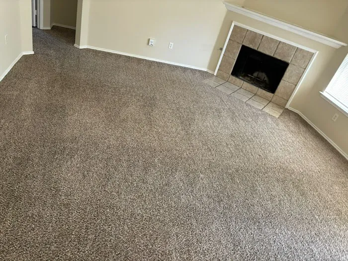 New Life Carpet Care and Water Restoration Picture 1