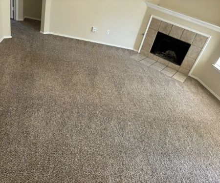 New Life Carpet Care and Water Restoration