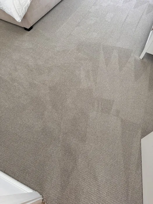 New Life Carpet Care and Water Restoration Picture 8