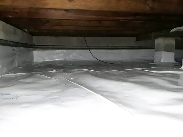 Olympic Restoration Systems Picture 2