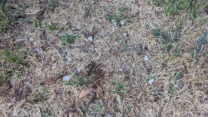 Olympic Restoration Systems Picture 7