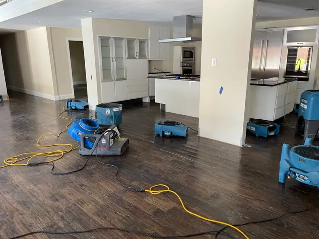 Lone Star Recovery Services Picture 3