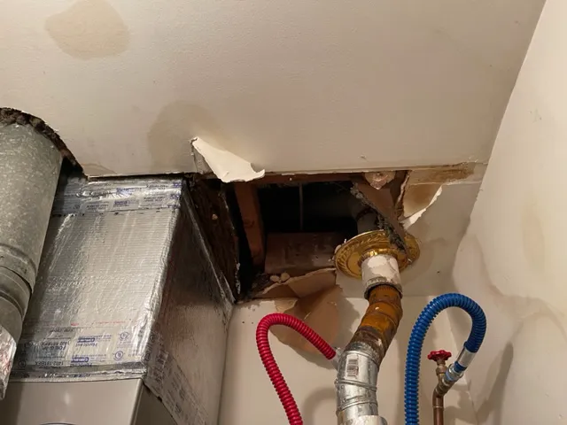 Lone Star Recovery Services Picture 4