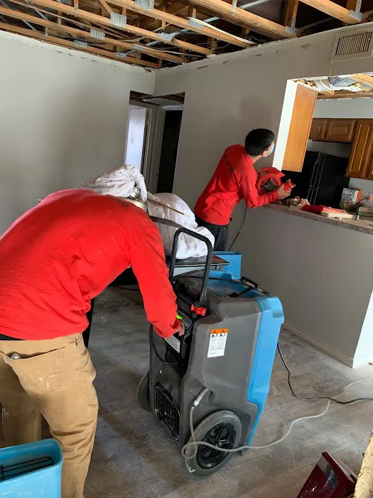 Lone Star Recovery Services Picture 10