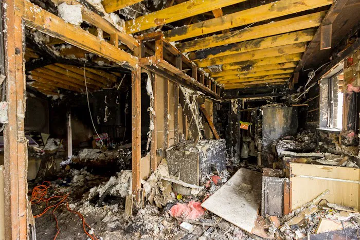 Spurdev Restoration Picture 1