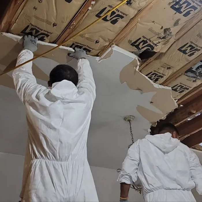 ADU Water Fire Mold Storm Picture 4