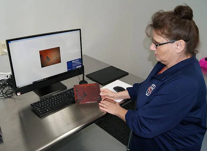 Service247 Restoration Picture 10