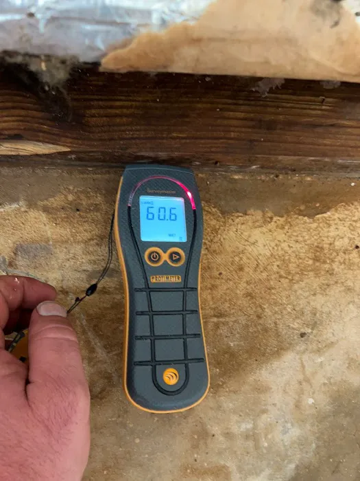 New Armor Restoration Picture 4