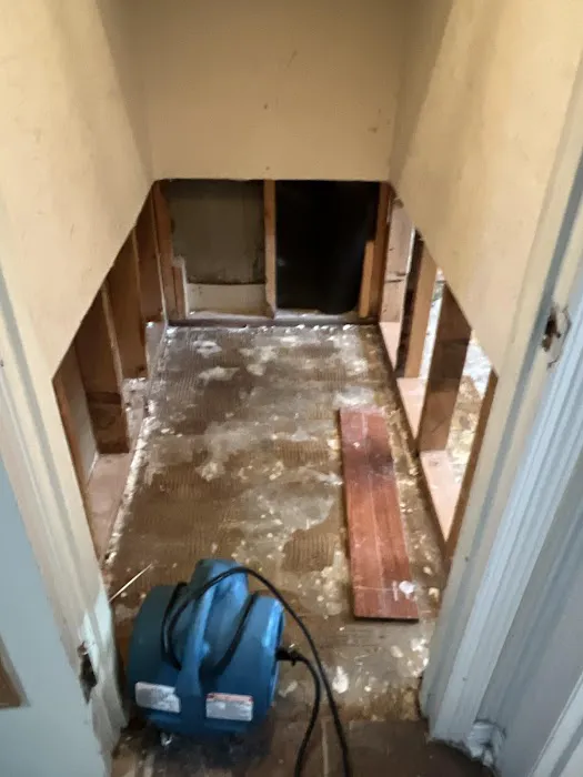 New Armor Restoration Picture 7