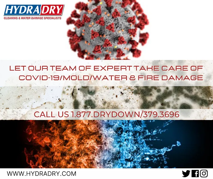 Hydradry Texas Picture 7