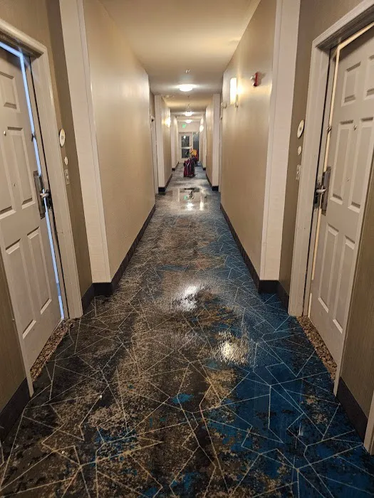 PuroClean of Waxahachie Picture 5