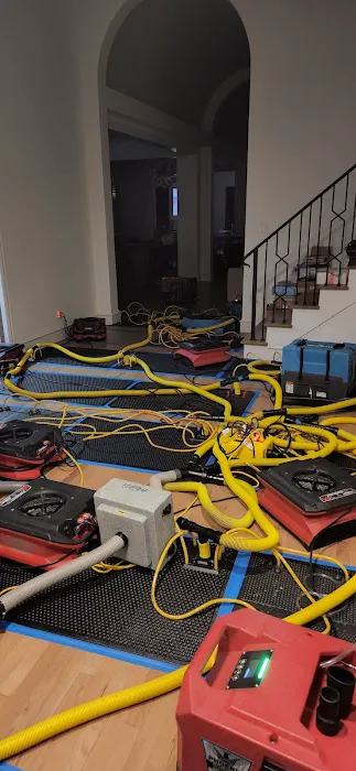 Share Restoration of Hurst Picture 5