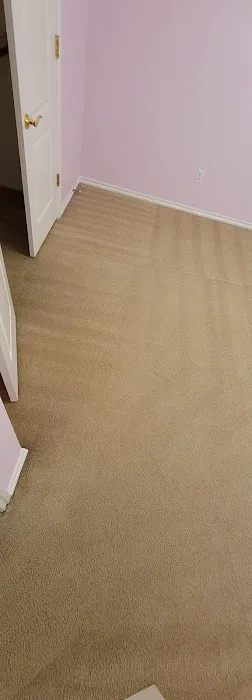 Ace Carpet Cleaning and Water Restoration Picture 4