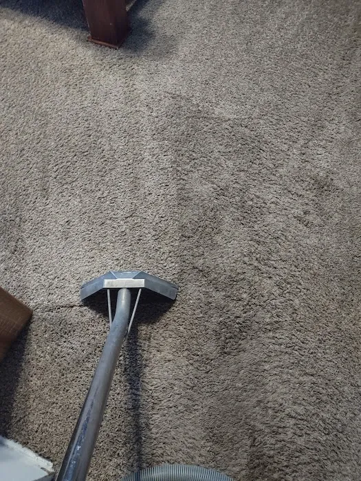 Ace Carpet Cleaning and Water Restoration Picture 6