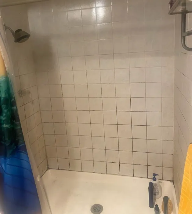 Ace Carpet Cleaning and Water Restoration Picture 3