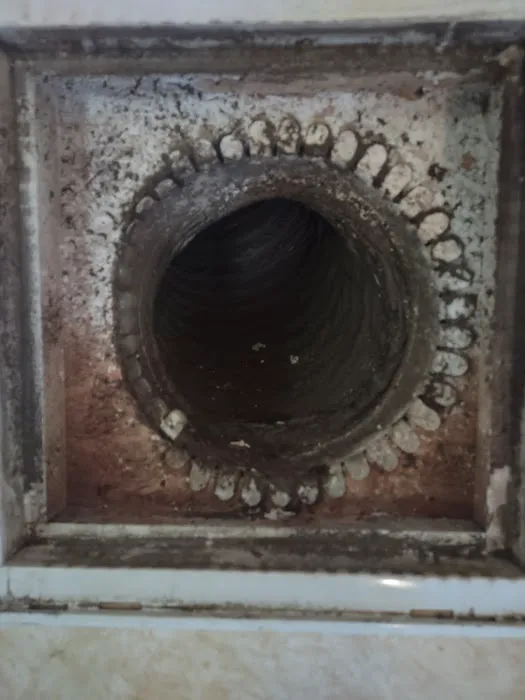 Ace Carpet Cleaning and Water Restoration Picture 8