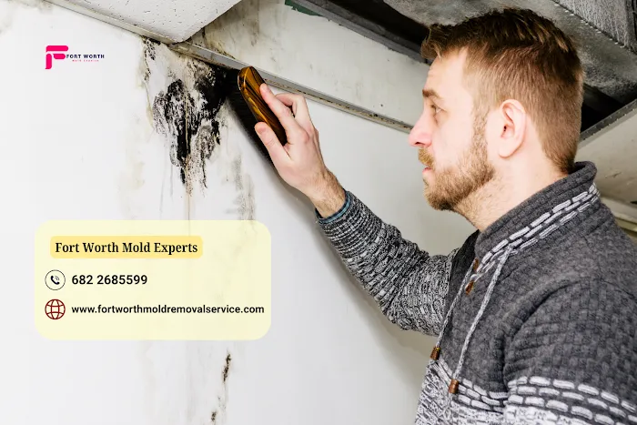 Fort Worth Mold Experts Picture 3