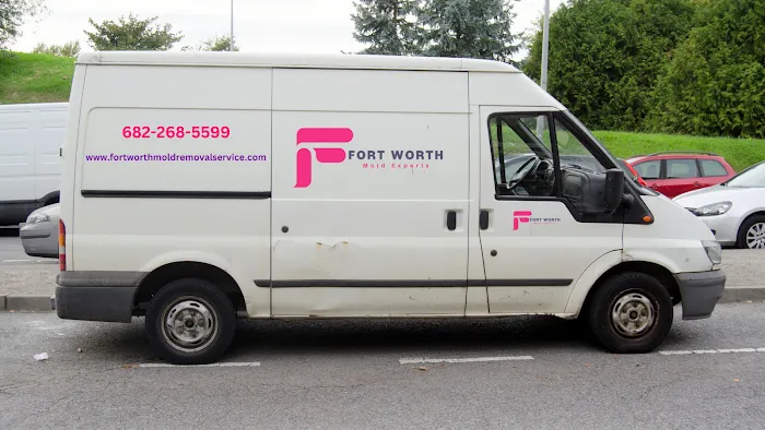 Fort Worth Mold Experts Picture 2