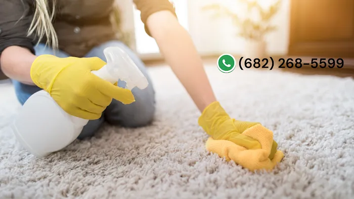 Fort Worth Mold Experts Picture 5