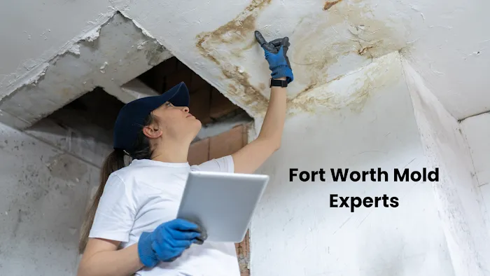 Fort Worth Mold Experts Picture 6