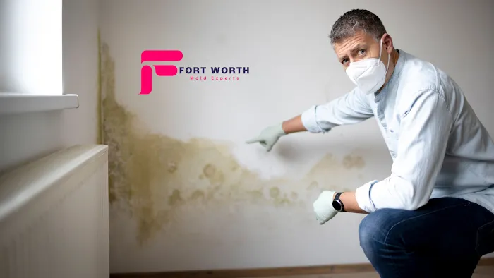 Fort Worth Mold Experts Picture 4