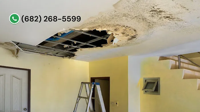 Fort Worth Mold Experts Picture 9
