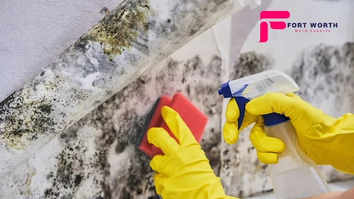 Fort Worth Mold Experts Picture 8