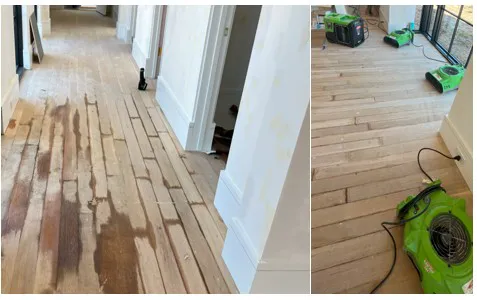 SERVPRO of Dallas Central Picture 3