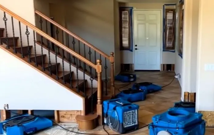 Water Damage Restoration Dallas Guys Picture 4
