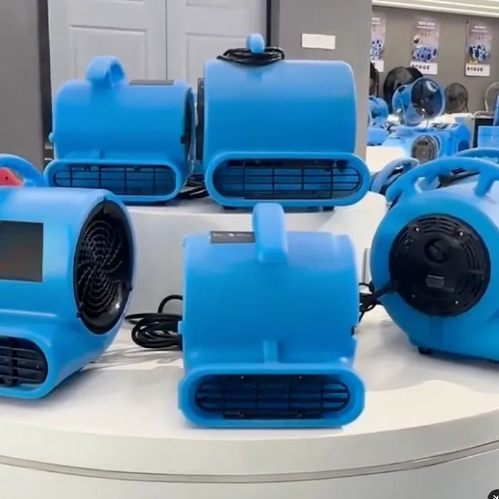 Emergency Water Damage Restoration Dallas TX Picture 6