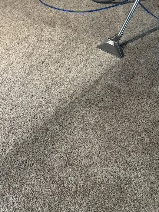 Power Steam Carpet Cleaning Picture 3