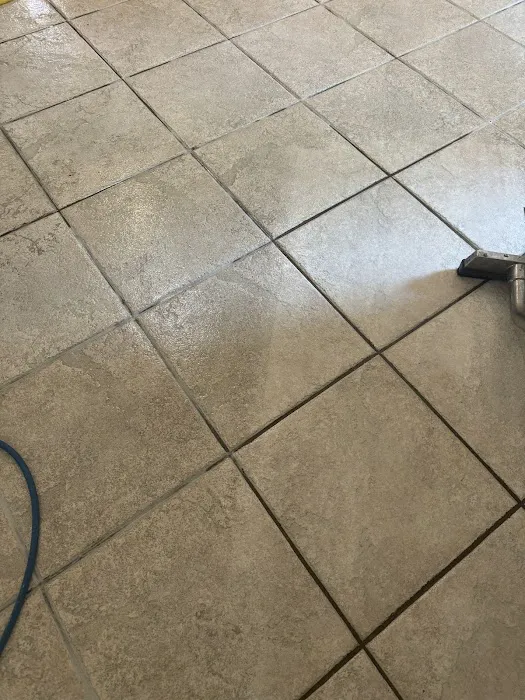 Power Steam Carpet Cleaning Picture 1