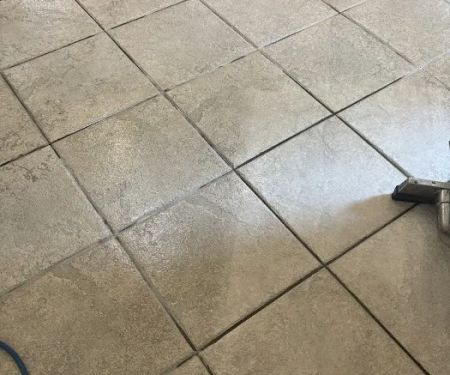 Power Steam Carpet Cleaning