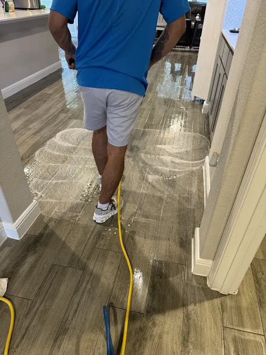 Power Steam Carpet Cleaning Picture 4