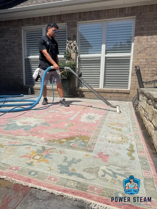 Power Steam Carpet Cleaning Picture 6