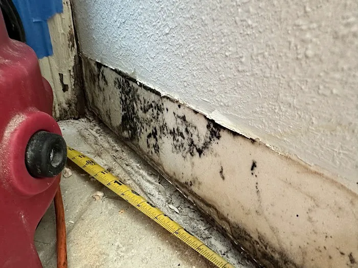 PuroClean of Southlake Picture 7