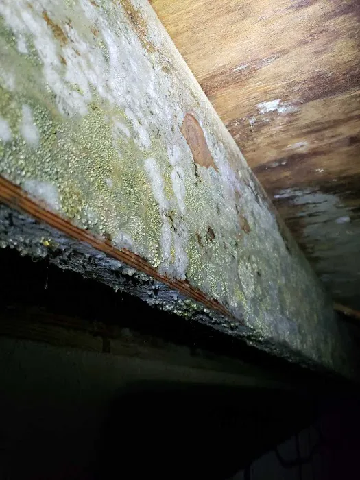 Restoration 1 Lone Star Picture 6