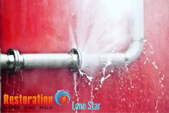 Restoration 1 Lone Star Picture 5