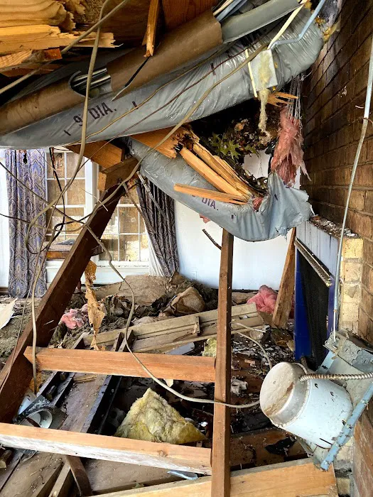 Restoration 1 Lone Star Picture 8