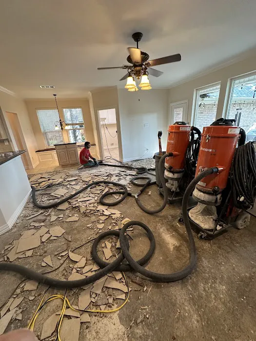 Dust Kingz Dustless Demo & Remodeling Picture 1